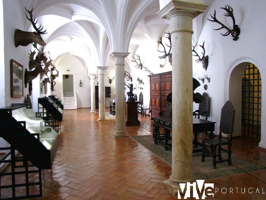 Museu da Caça de Vila Viçosa