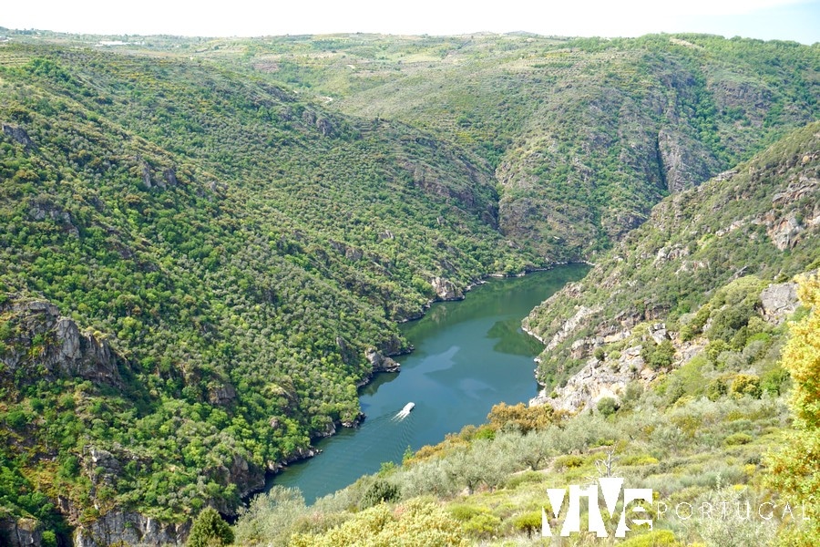 Vista del cañón del Duero desde el mirador Fraga do Calço en Mogadouro